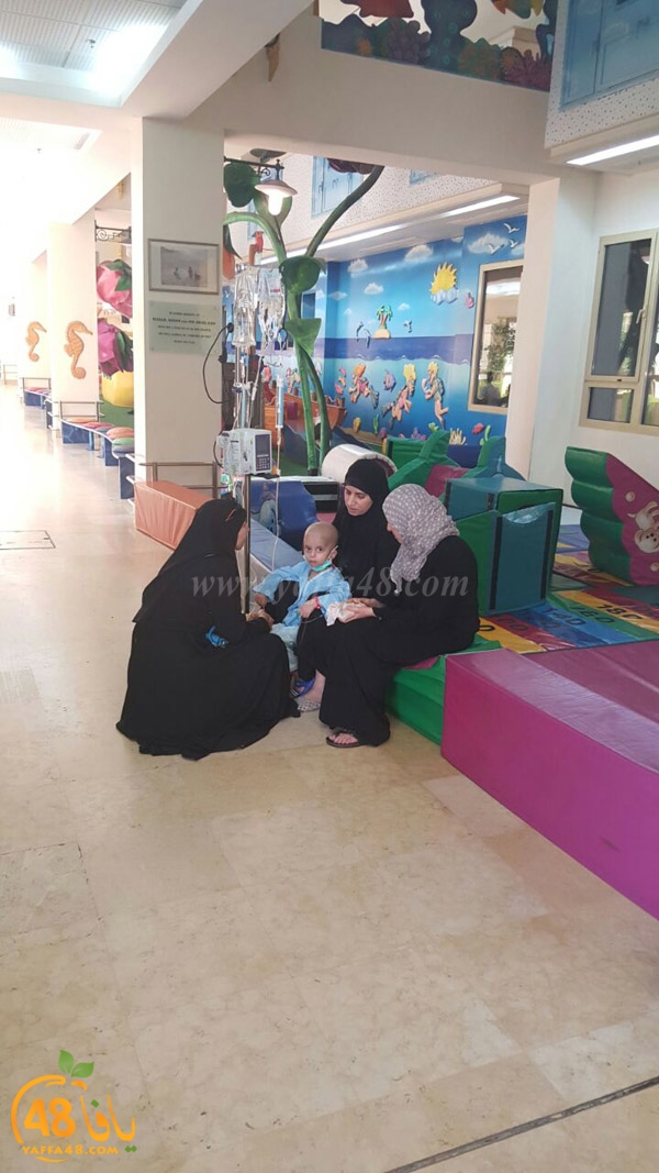 3aza2 talhoashmer (17).jpg